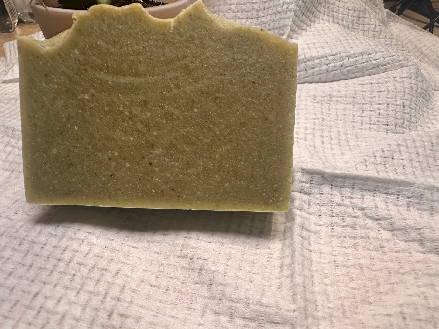 Tea Tree Sprout Fusion cold press soap bar