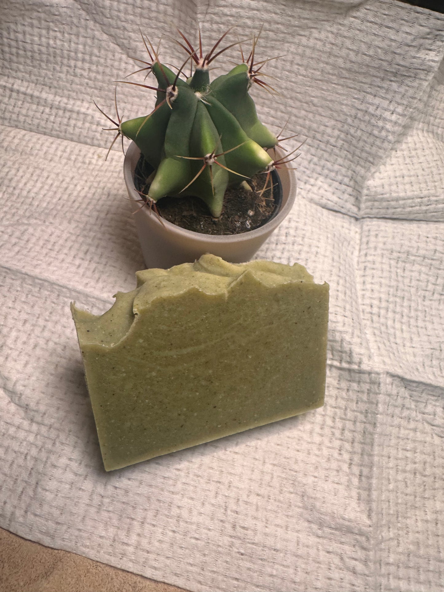 Tea Tree Sprout Fusion cold press soap bar