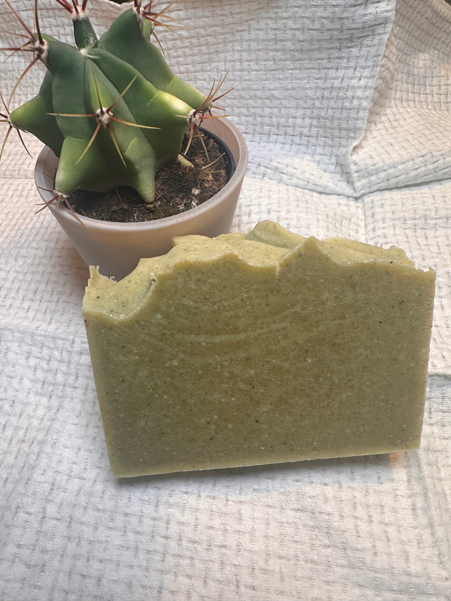 Tea Tree Sprout Fusion cold press soap bar
