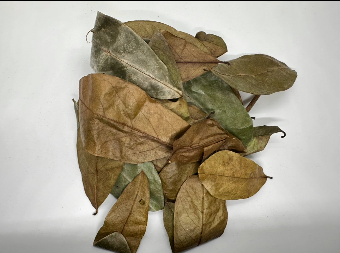 Wild crafted Soursop leaves