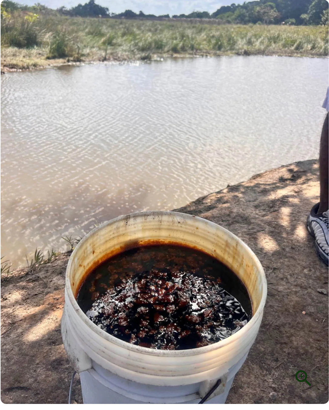 100% Raw Batana Oil… sourced from Honduras